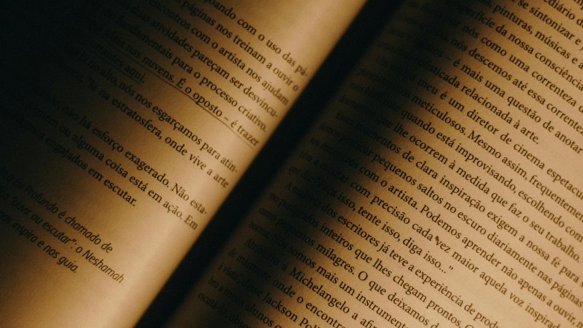 Resumo do livro "O Jacaré e o Macaco Vaidoso" – Sylvia Orthof