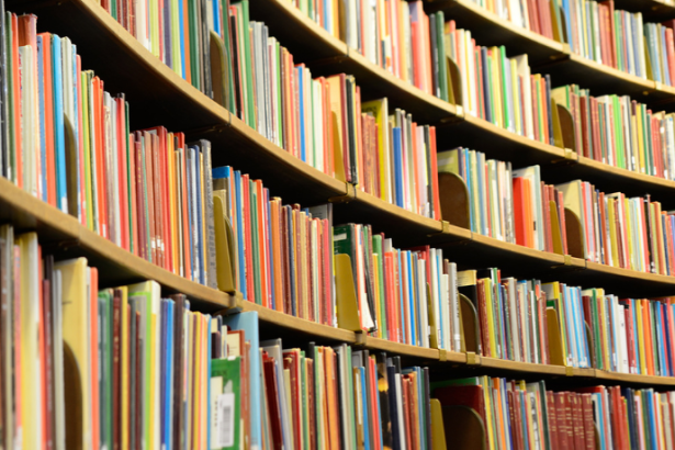 Resumo do livro "O Mendigo e o Milionário" – Luiz Antonio de Assis Brasil