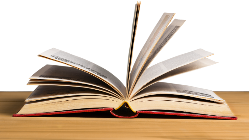 Resumo do livro "O Povo do Abismo" – Meridel Rawlings