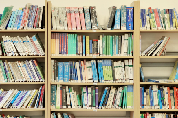 Resumo do livro "O Quinto Evangelho" – Mario Reading