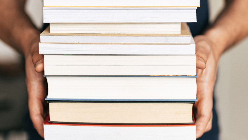 Resumo do livro "O Sabiá que Queria Voar Mais Alto" – Sylvia Orthof