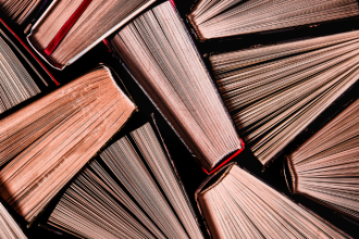 Resumo do livro "O Seminarista" – Bernardo Guimarães