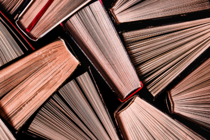 Resumo do livro "O Seminarista" – Bernardo Guimarães