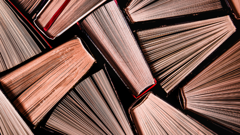 Resumo do livro "O Seminarista" – Bernardo Guimarães
