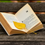 Resumo do livro "O Tronco" – Bernardo Élis
