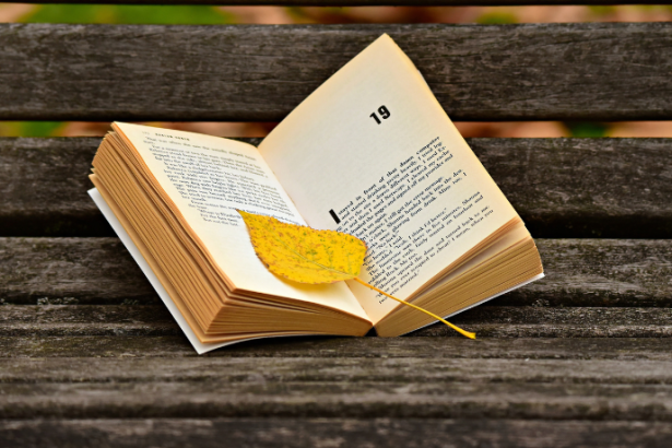 Resumo do livro "O Tronco" – Bernardo Élis