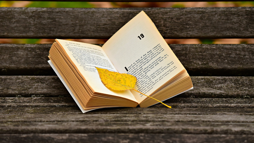 Resumo do livro "O Tronco" – Bernardo Élis