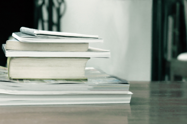 Resumo do livro "O Vento Assobiando nas Gruas" – Lídia Jorge