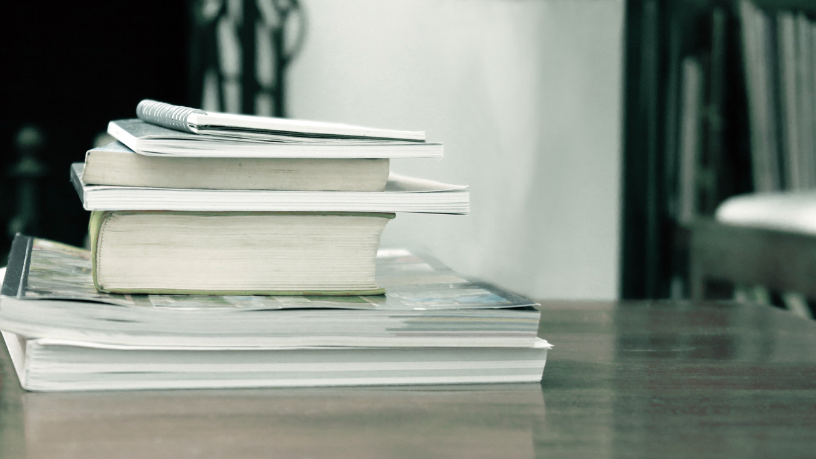 Resumo do livro "O Vento Assobiando nas Gruas" – Lídia Jorge