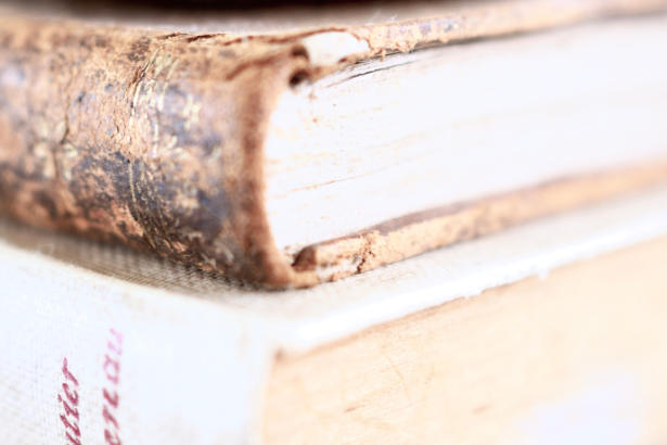 Resumo do livro "Provas no Processo Civil" – Fredie Didier Jr. e Leonardo Carneiro da Cunha