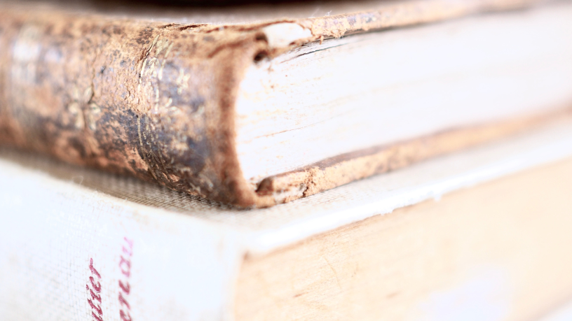 Resumo do livro "Provas no Processo Civil" – Fredie Didier Jr. e Leonardo Carneiro da Cunha