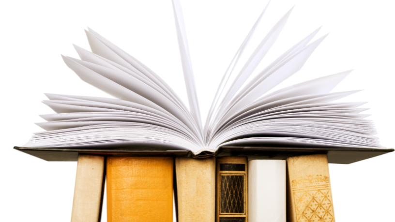 Resumo do livro "Recordações do Escrivão Isaías Caminha" – Lima Barreto