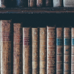 Resumo do livro "Sombras do Éden" – Rachel Stoltzfus