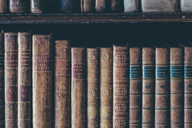 Resumo do livro "Sombras do Éden" – Rachel Stoltzfus