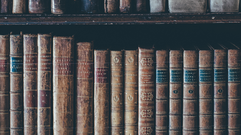 Resumo do livro "Sombras do Éden" – Rachel Stoltzfus