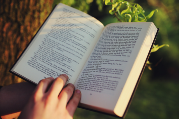 Resumo do livro "Starman" – Alan Dean Foster