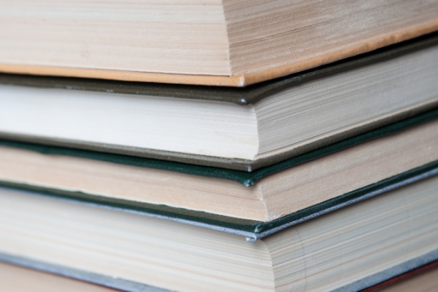 Resumo do livro "Willow" – Wayland Drew