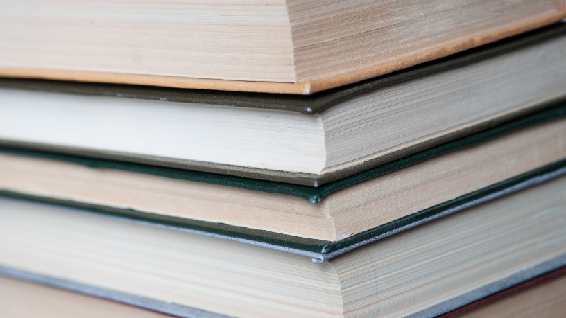 Resumo do livro "Willow" – Wayland Drew