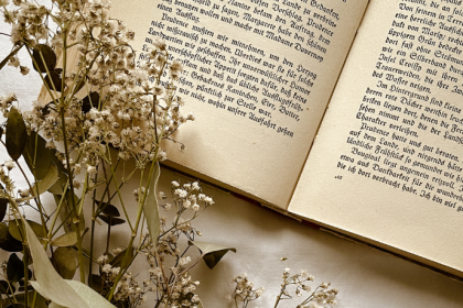 Resumo do livro “As Meninas” – Lygia Fagundes Telles