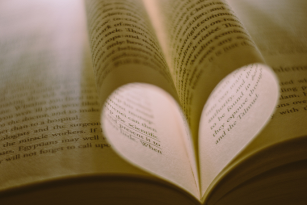 Resumo do livro “Barro Blanco” – Lucílio Varejão