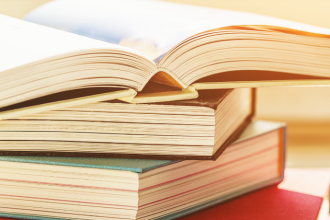 Resumo do livro Belchior, o Último Caçador – Luiz Antonio de Assis Brasil