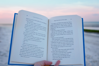 Resumo do livro “O Asno com a Pele de Leão” – Esopo