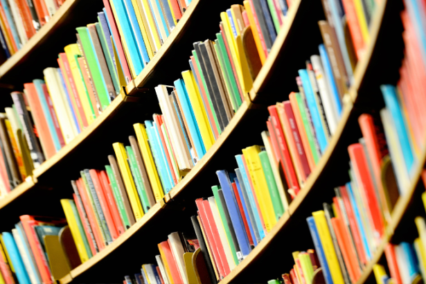 Resumo do livro O Beija-Flor e o Vendaval – Álvaro Cardoso Gomes