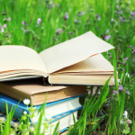 Resumo do livro O Cão e a Concha – Esopo