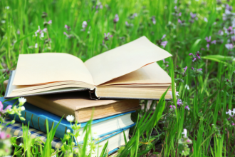 Resumo do livro O Cão e a Concha – Esopo