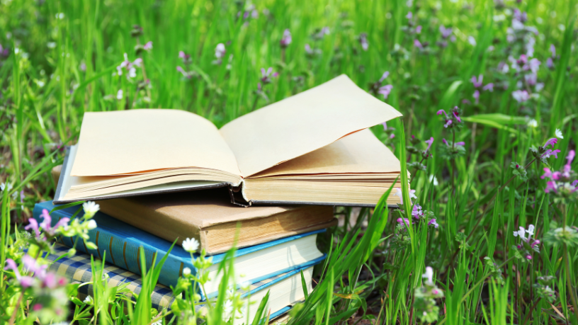 Resumo do livro O Cão e a Concha – Esopo