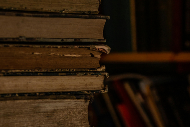 Resumo do livro Solidão Calcinada – Lya Luft