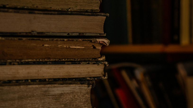 Resumo do livro Solidão Calcinada – Lya Luft