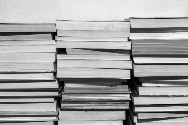 Resumo do livro Tron A Traição – Brian Flynn & Paul Briggs