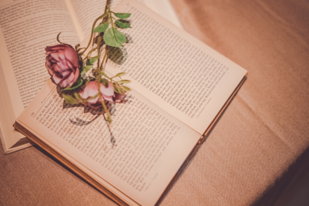 Resumo de Guerra nas Estrelas – Alan Dean Foster