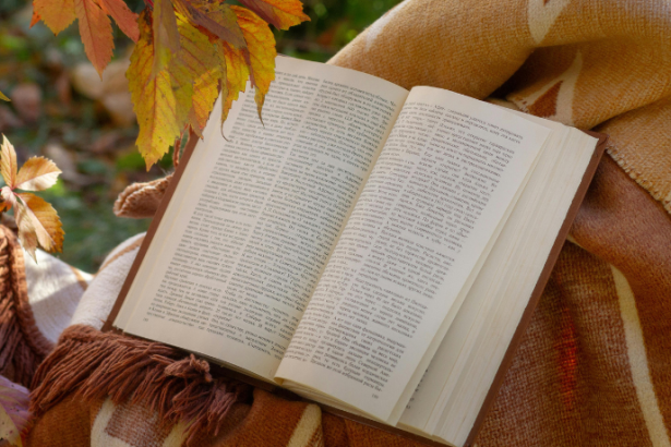 Resumo de O Corvo e o Cão – Fedro