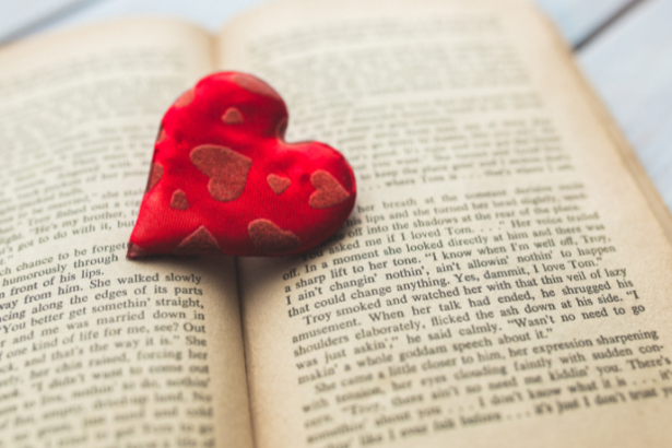 Resumo de O Macaquinho e o Espelho – Ângela Lago