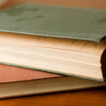 Resumo de Os Lobos de Mercy Falls (trilogia) – Maggie Stiefvater