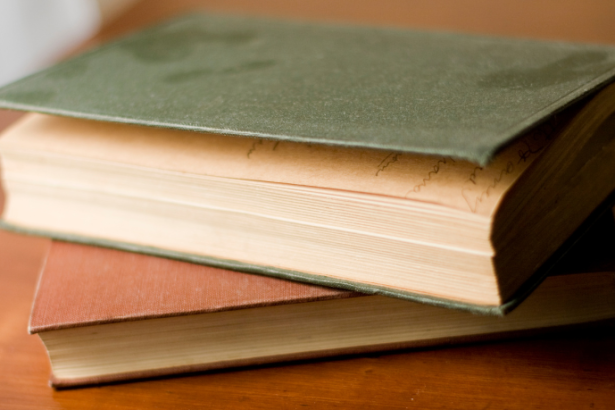 Resumo de Os Lobos de Mercy Falls (trilogia) – Maggie Stiefvater