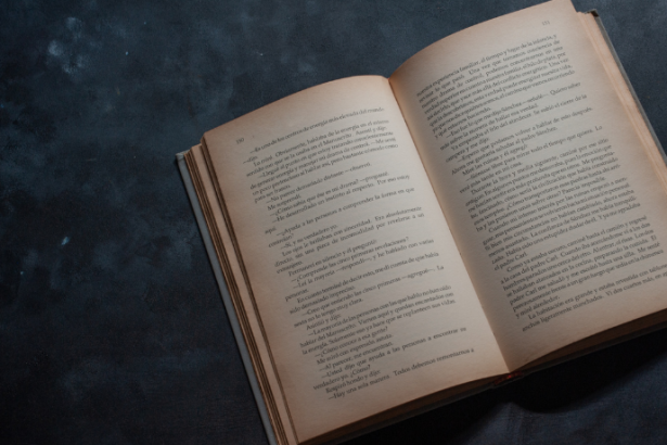 Resumo de Prática da Advocacia Trabalhista – Vólia Bomfim Cassar