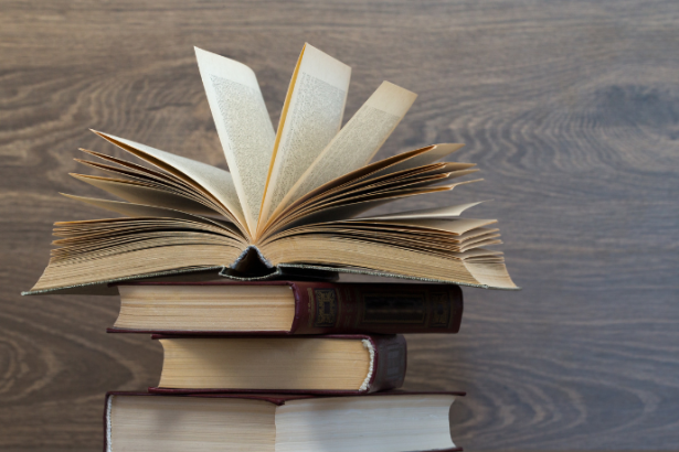 Resumo de Prática da Advocacia Trabalhista – Vólia Bomfim Cassar