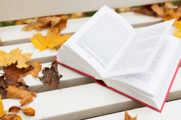 Resumo de Senhora do Engenho – Maria Camila Dezonne Pacheco Fernandes