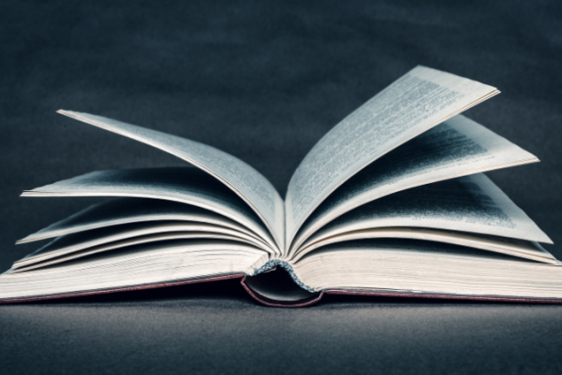 Resumo do livro O Ateneu – Raul Pompeia