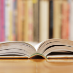 Resumo do livro Senhorita – Maria José Dupré