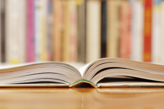 Resumo do livro Senhorita – Maria José Dupré
