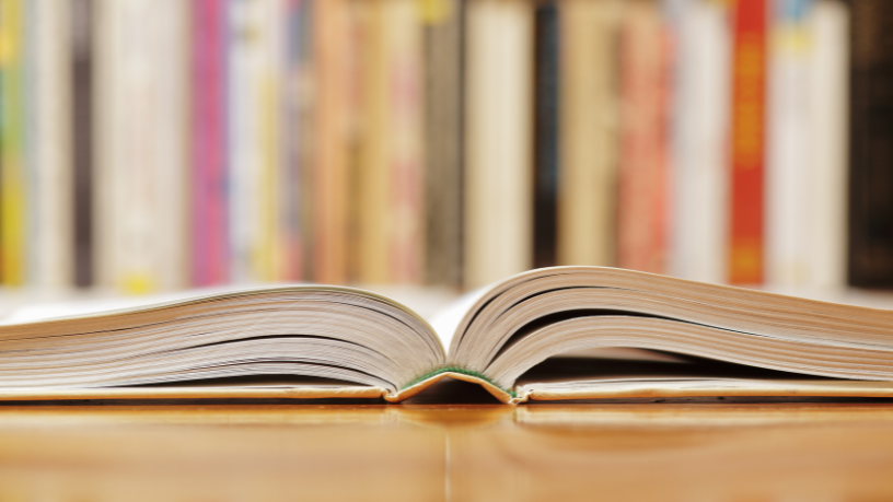 Resumo do livro Senhorita – Maria José Dupré