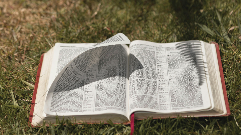 Resumo da Trilogia A 5ª Onda