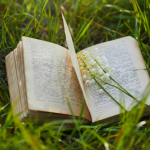 Resumo de A Corrida para o Abismo – Dominique Fernandez