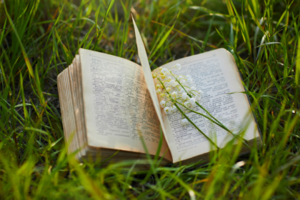 Resumo de A Corrida para o Abismo – Dominique Fernandez