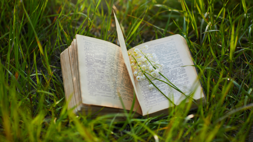 Resumo de A Corrida para o Abismo – Dominique Fernandez