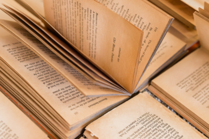 Resumo de A Resistência – Julián Fuks